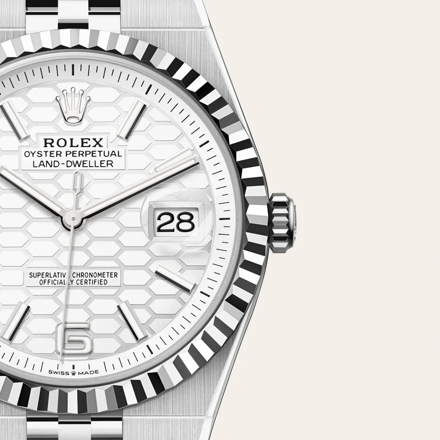Land-Dweller 40mm Oystersteel & White Gold M127334-0001