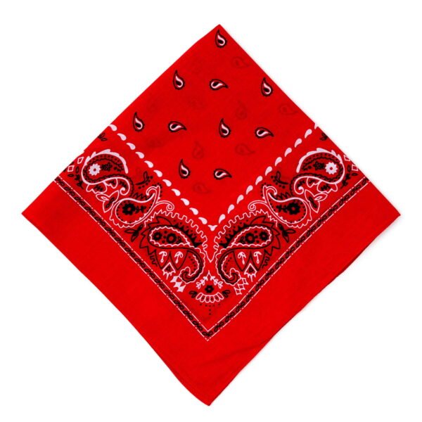 George Men's Cotton Bandana