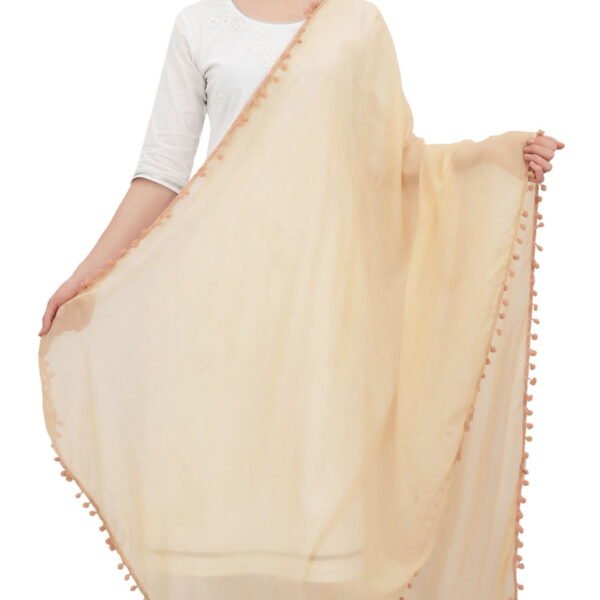 Phagun Indian Women Chiffon Dupatta Neck Wrap Long Stole Scarves Chunni-Beige