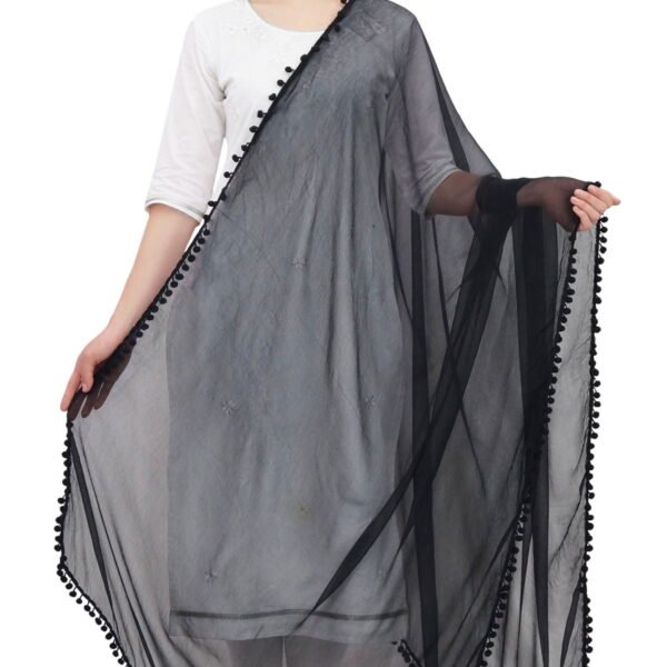 Phagun Indian Women Chiffon Dupatta Neck Wrap Long Stole Scarves Chunni-Black