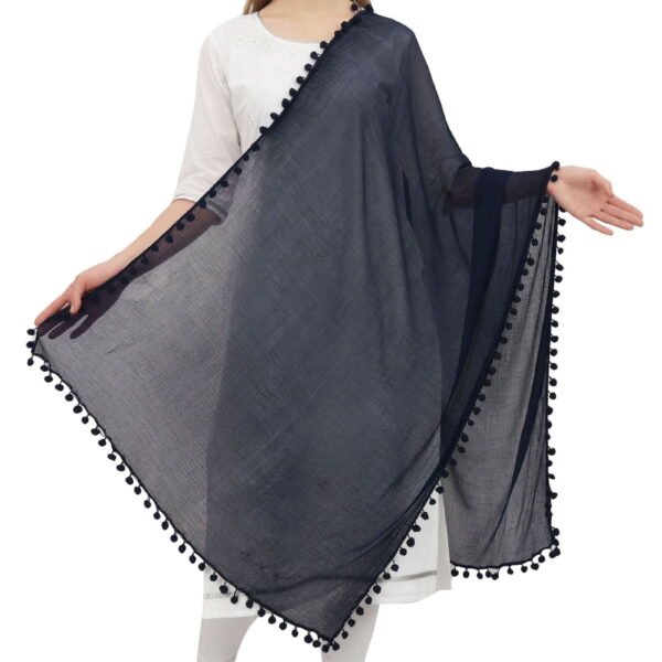 Phagun Indian Women Chiffon Dupatta Neck Wrap Long Stole Scarves Chunni-Blue