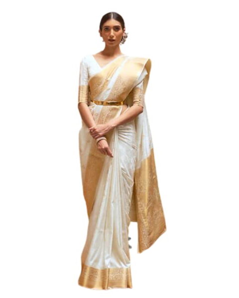 Nishtha Chadda Gold Banarasi Silk Saree