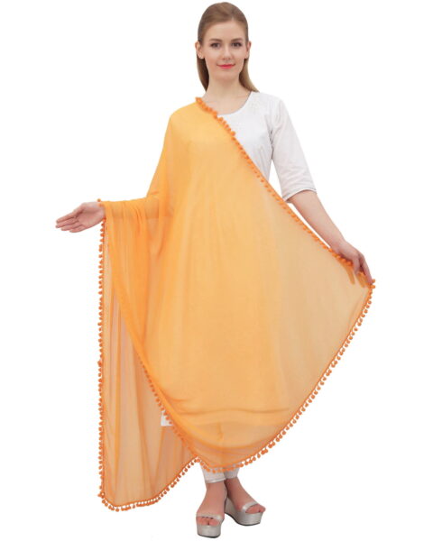 Phagun Orange Chiffon Stole